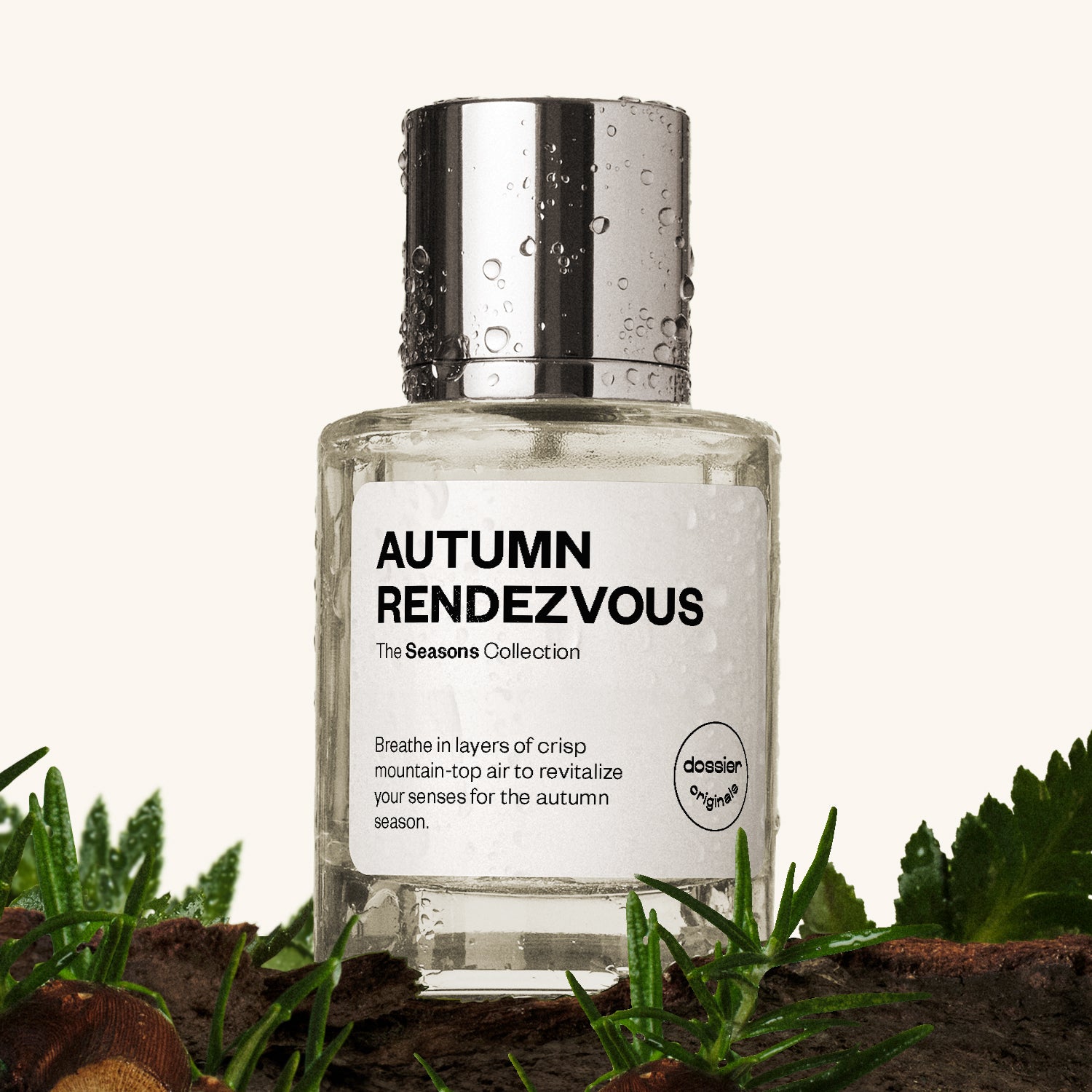 Autumn Rendezvous