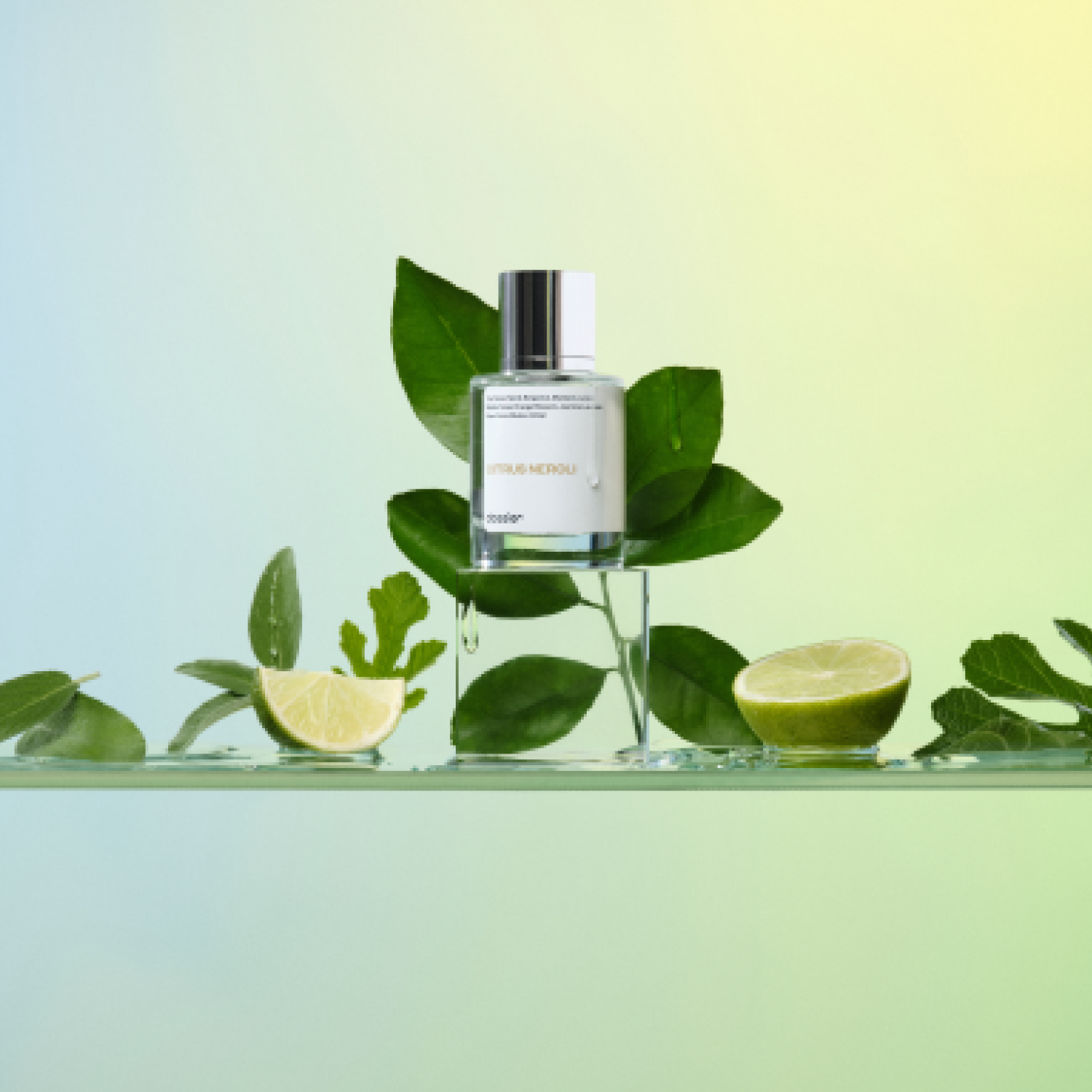 Citrus Neroli - Image 2