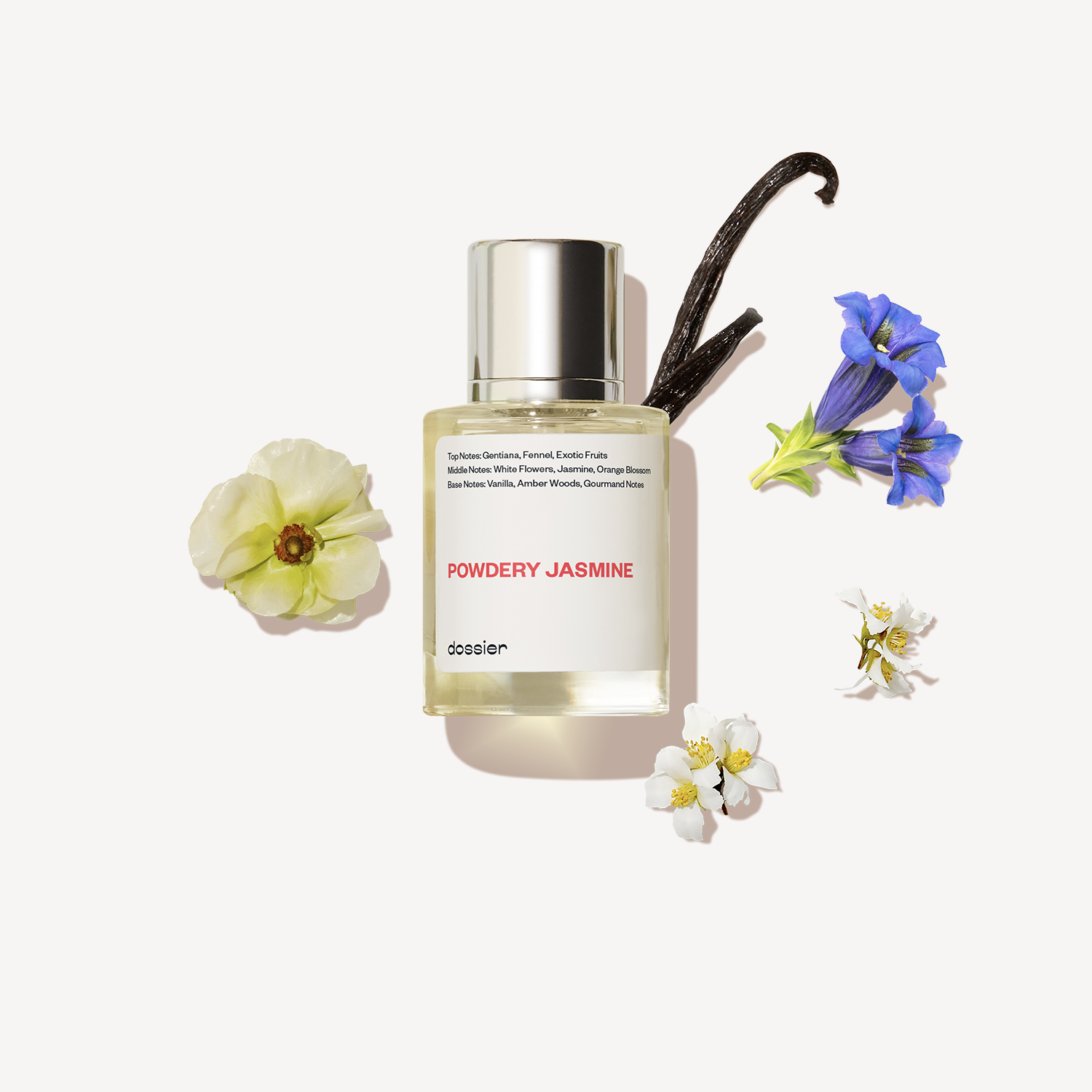 Powdery Jasmine - Image 6