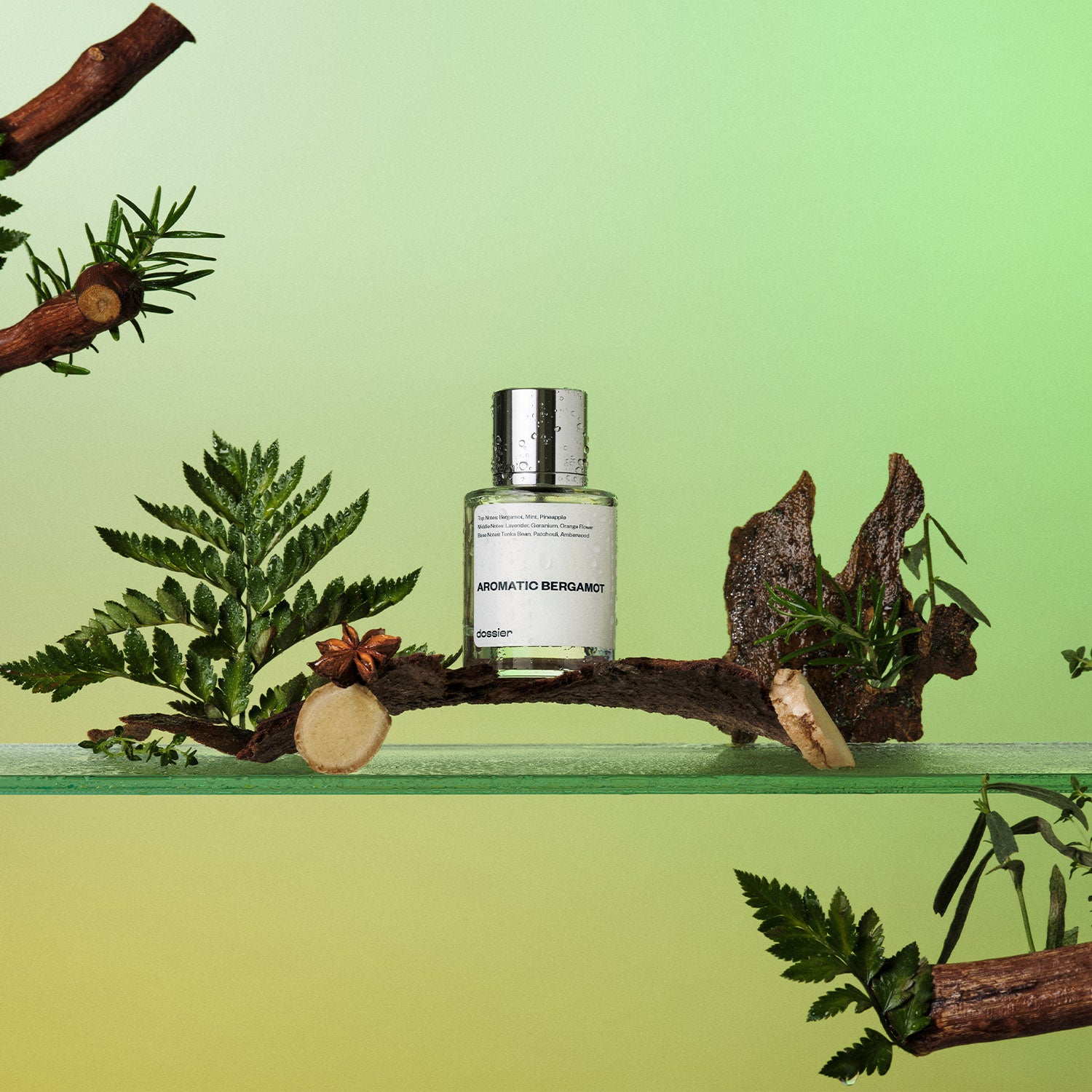 Aromatic Bergamot - Image 2